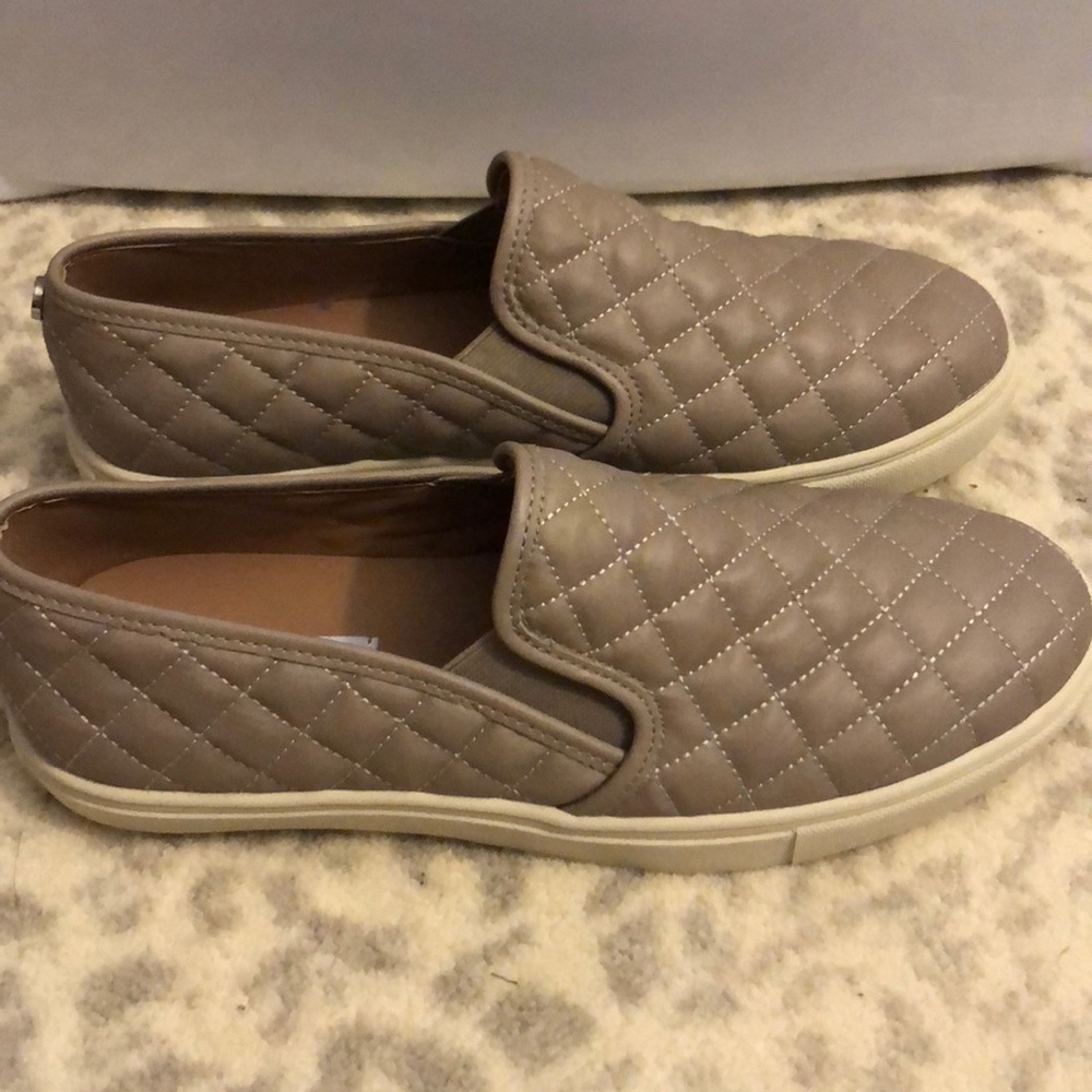 Steve Madden Sneakers